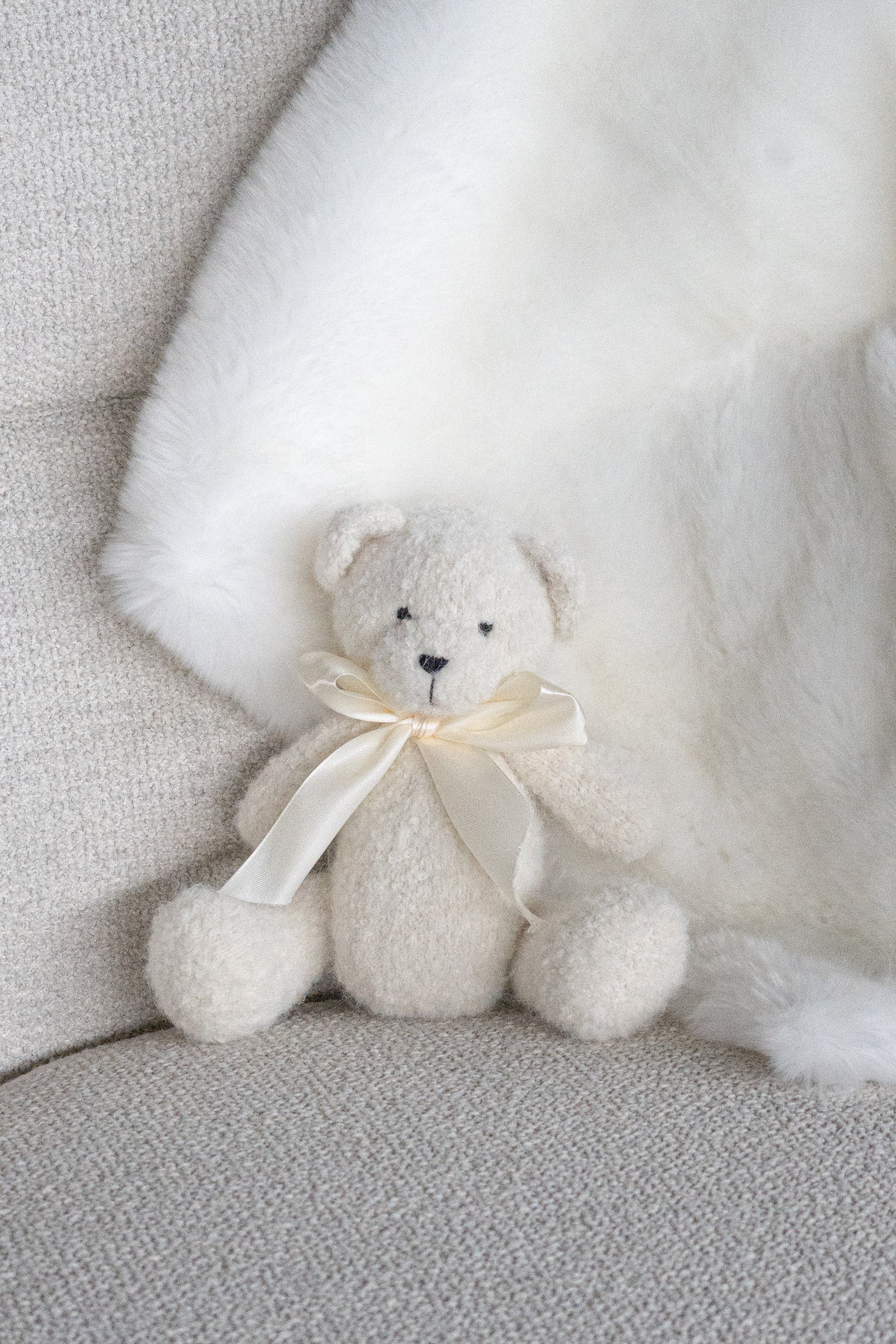 Charlie - Teddy Bear